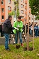Sabinov.online